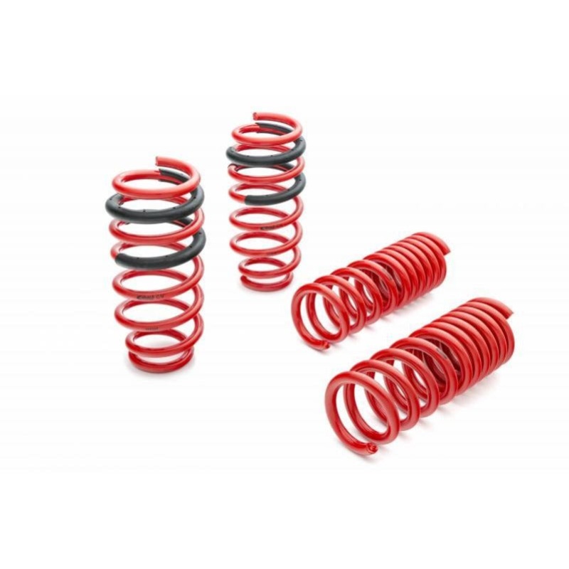 Eibach Performance Pro Kit Lowering Springs Kit - Dodge Challenger SRT-8 RWD (2008-2014)