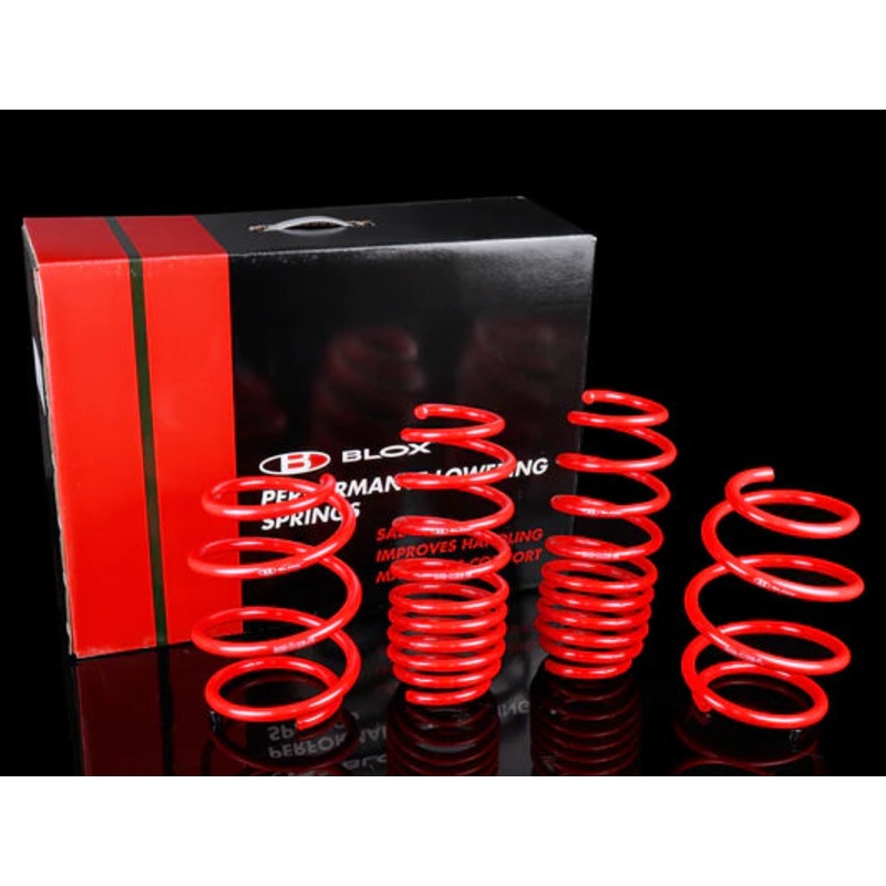 Blox Racing Lowering Springs - Tesla Model 3 Long Range RWD ONLY (2017+)