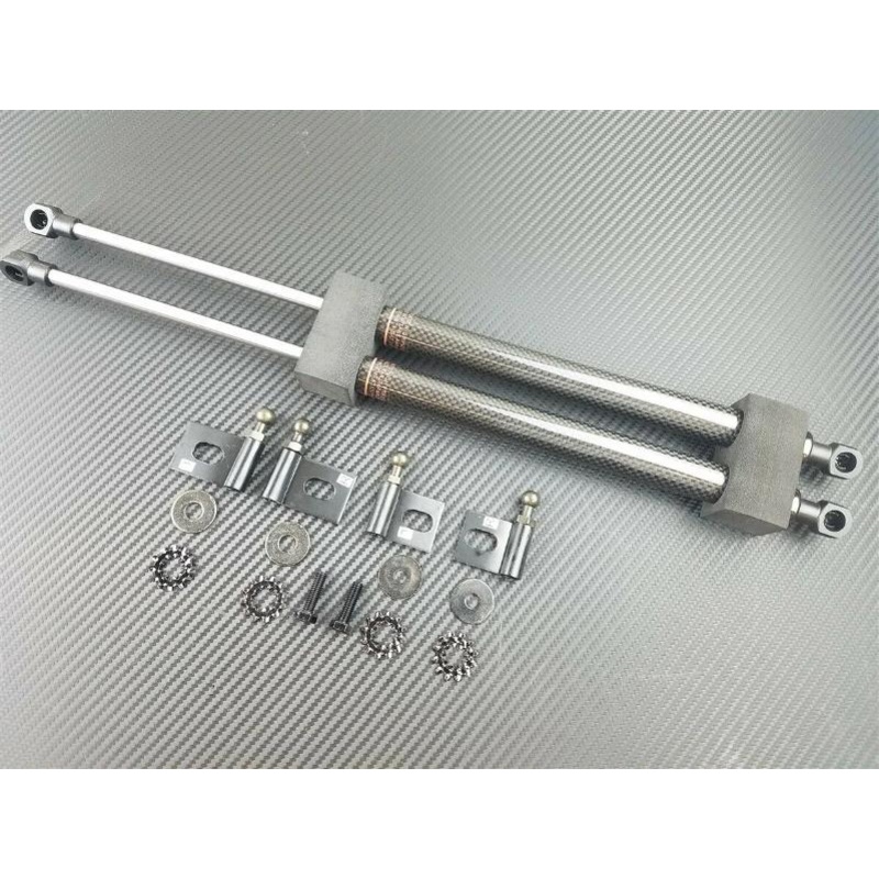 Phase 2 Motortrend (P2M) Carbon Fiber Series Engine Hood Bonnet Dampers Set - Mitsubishi Lancer Evolution EVO X 10