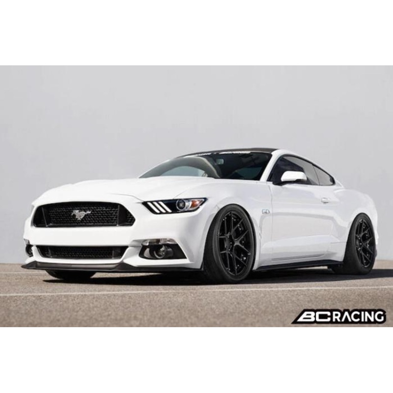 BC Racing BR Series Coilovers Kit - Ford Mustang (2015-2019)