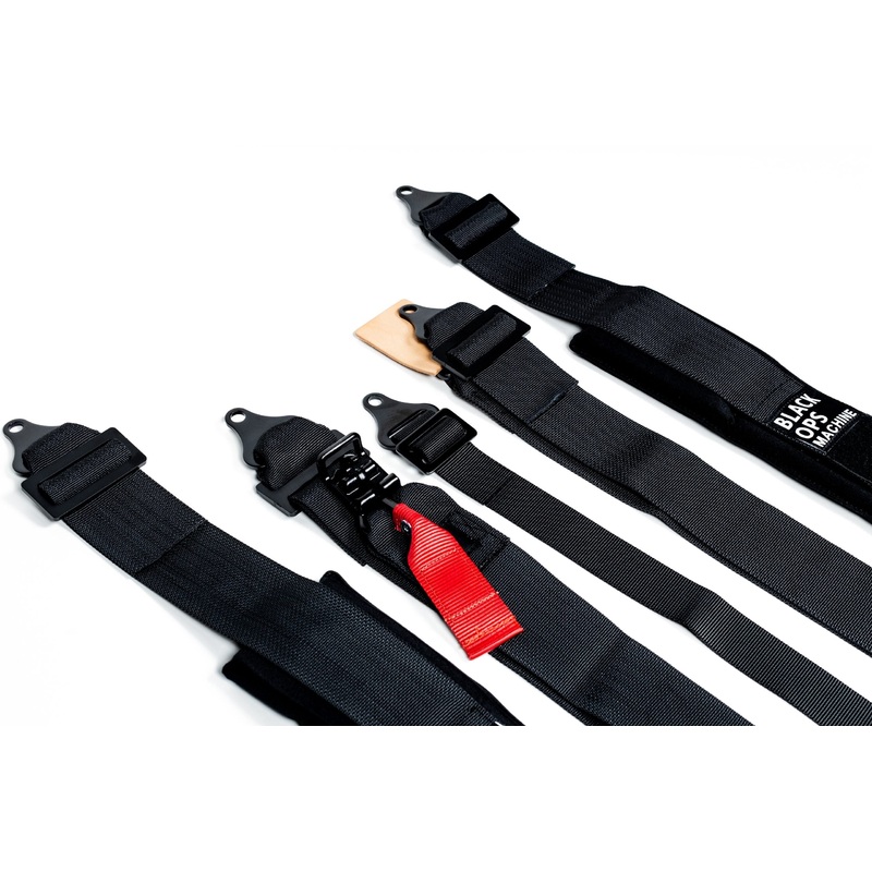5-Point Harness