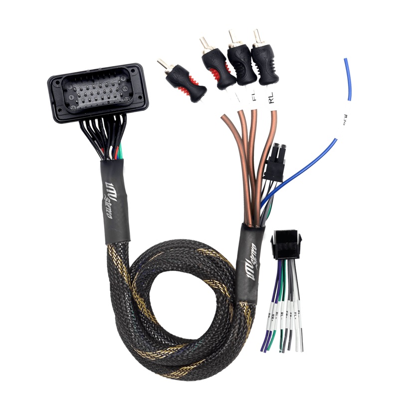 RZR Pro Series Ride Command Front & Rear RCA Output + Speaker Wire & Remote