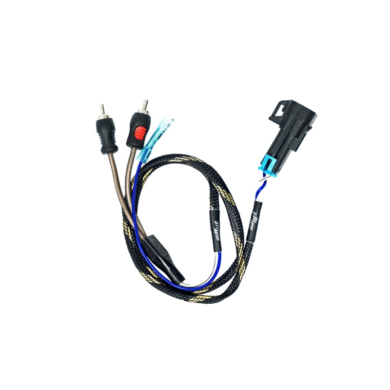 RZR Pro Series Ride Command Subwoofer RCA Output Harness + Remote