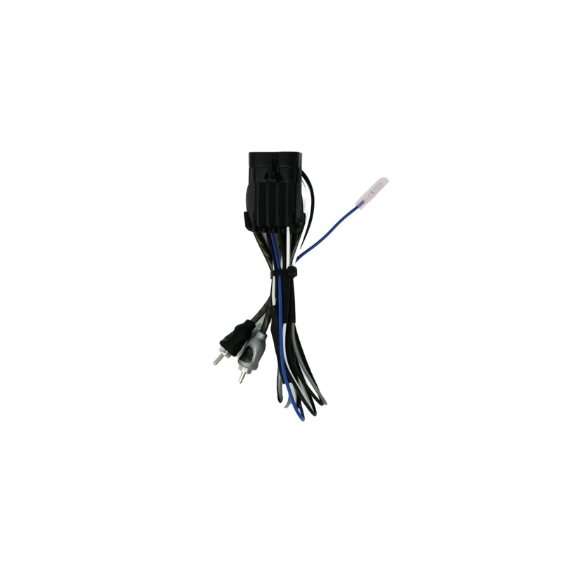 RZR Ride Command Amplifier Harness + Remote