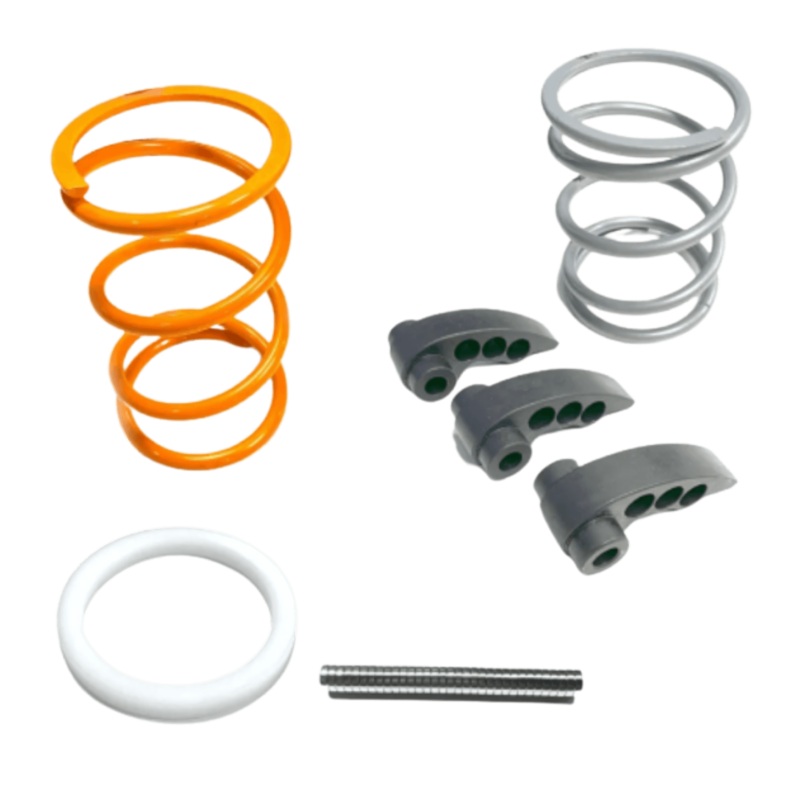 Polaris RZR Pro R 4 Cylinder Stage 2 Clutch Kit (2020+)