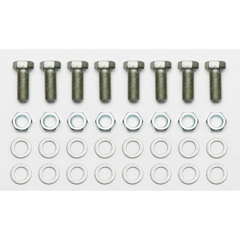 Wilwood 2005+ Mustang 3/8-24 Bolt Kit -Bracket Spindle CPB, Rear