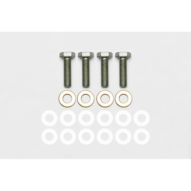 Wilwood Bracket Mount Bolt Kit - M10-1.50x35mm LG - 4 Pack