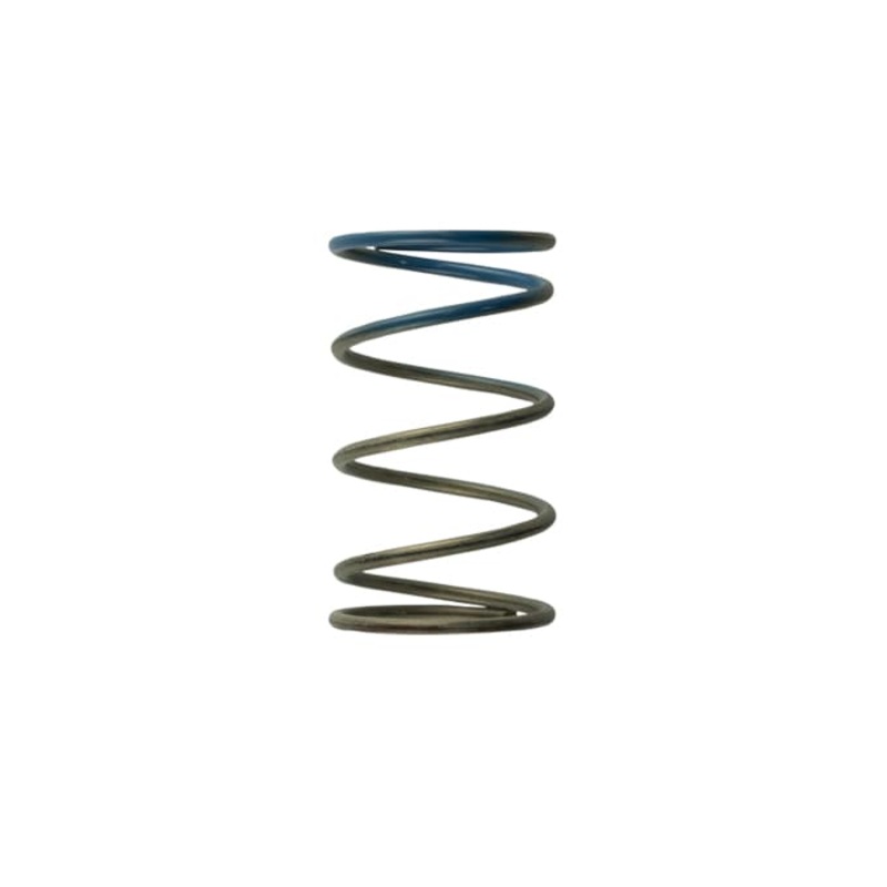 Gen 4/IWG WG38/40/45/50L 10PSI OUTER SPRING  BROWN/BLUE