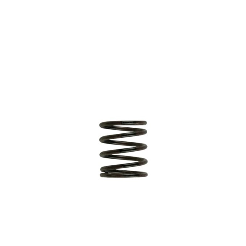 Gen 4/IWG WG38/40/45/50L 3PSI INNER SPRING  BROWN/BLACK