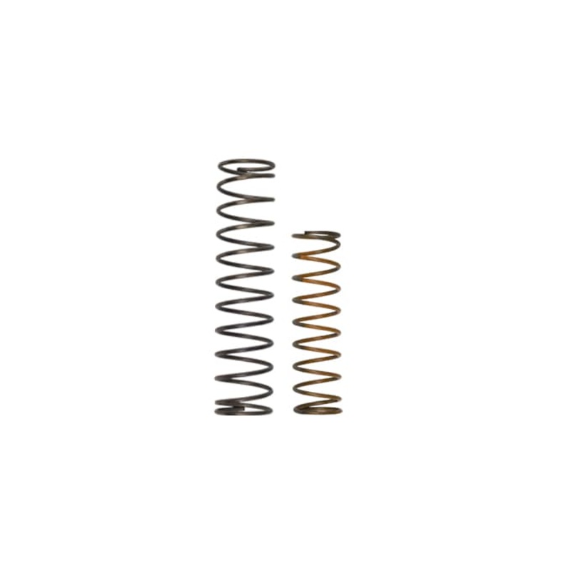 OLD Race Port Spring Kit