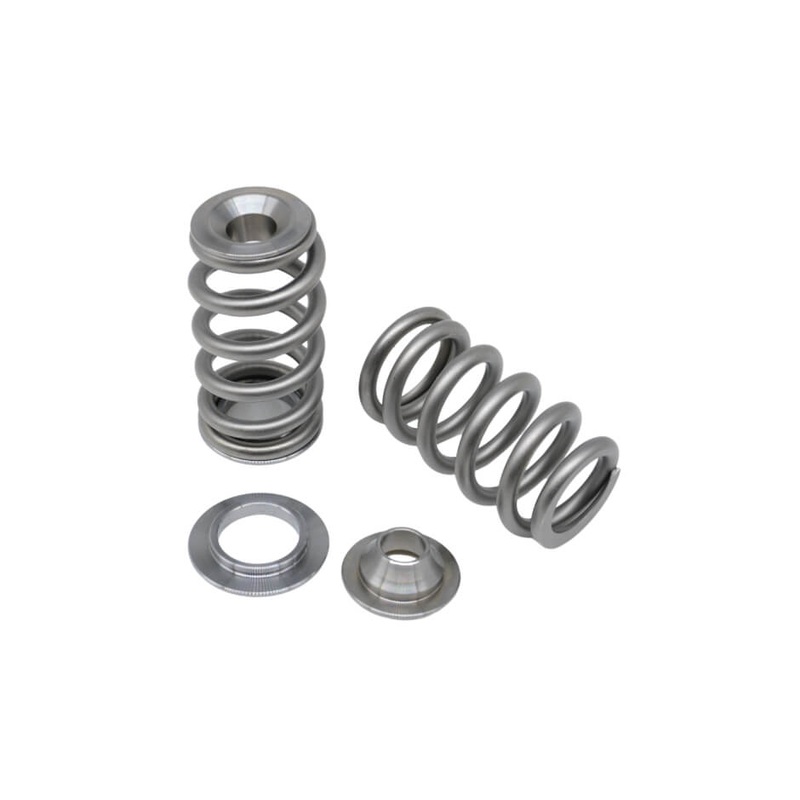 Kelford KVS03 | 1503-1630 Rotax 4-TEC  Springs