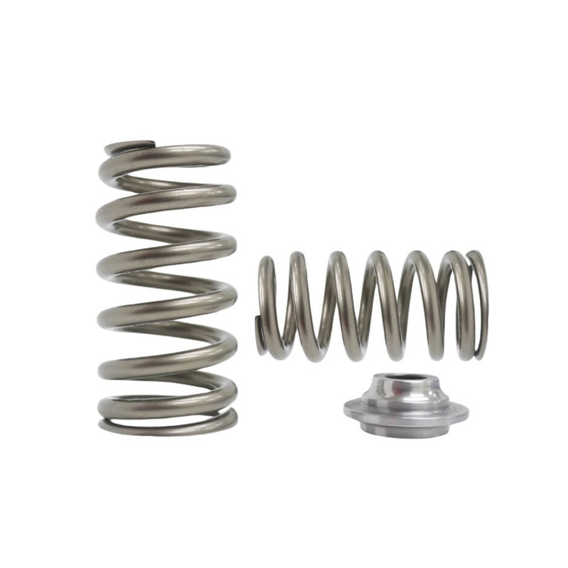 Kelford KVS1855-BT | RB26 Beehive Springs