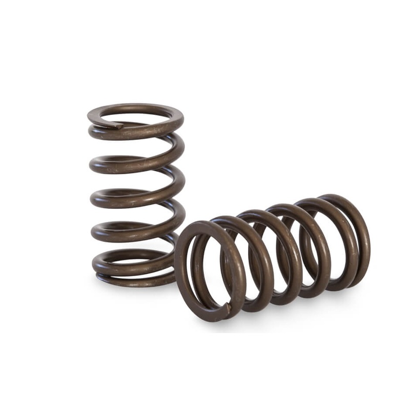 Kelford KVS20 | RB20 / RB25 Racing Springs