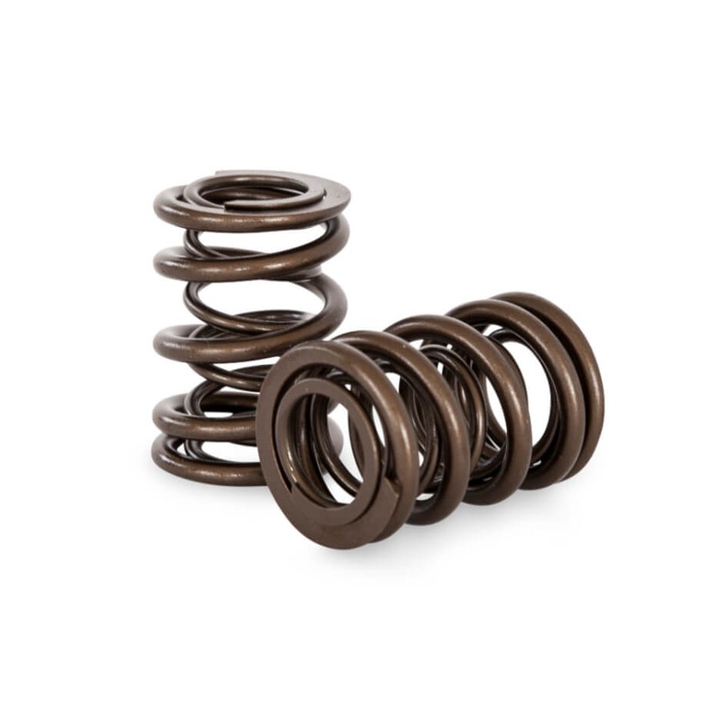 KVS4206 | Nissan L20-L28 Dual Springs